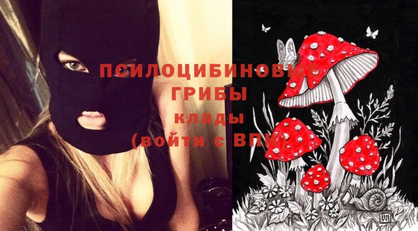 трава Билибино
