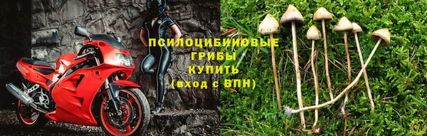 каннабис Болохово