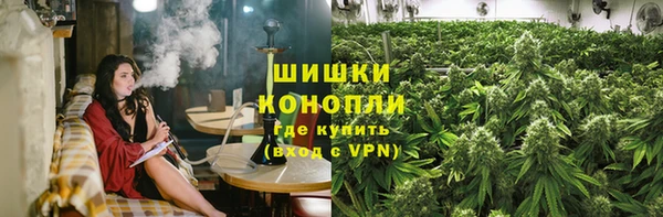 трава Билибино