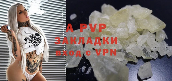 трава Билибино