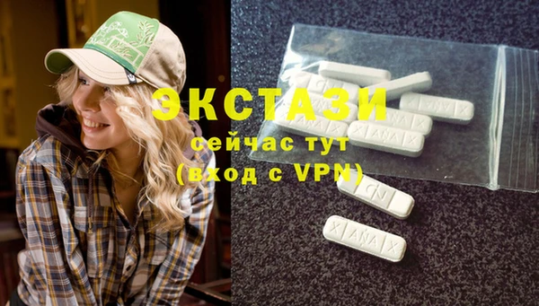 прущие грибы Болотное