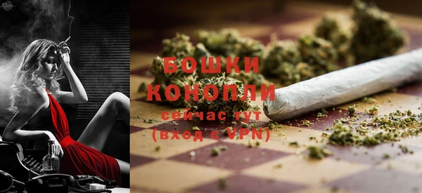 прущие грибы Болотное