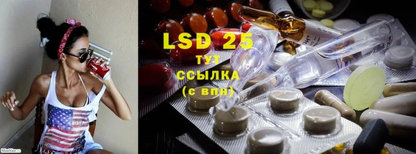 прущие грибы Болотное
