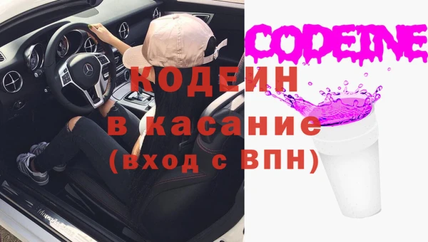прущие грибы Болотное