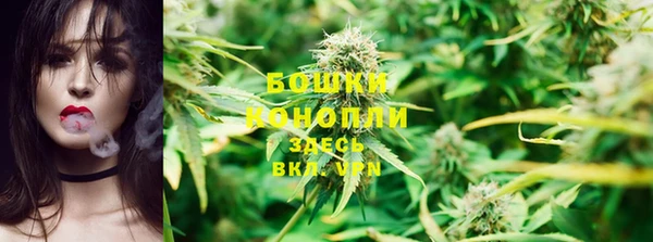 трава Билибино